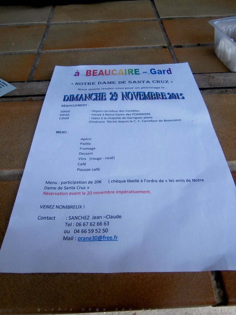 2015 10 03 et 04 NIMES LES RENCONTRES DE LA MARINE (25).JPG